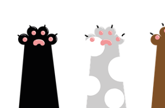 Paw Patrol speelgoed vinden bij jouw favoriete speelgoedwinkel